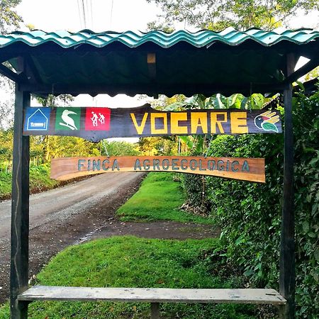 Vocare Finca Agroecologica Upala Zewnętrze zdjęcie