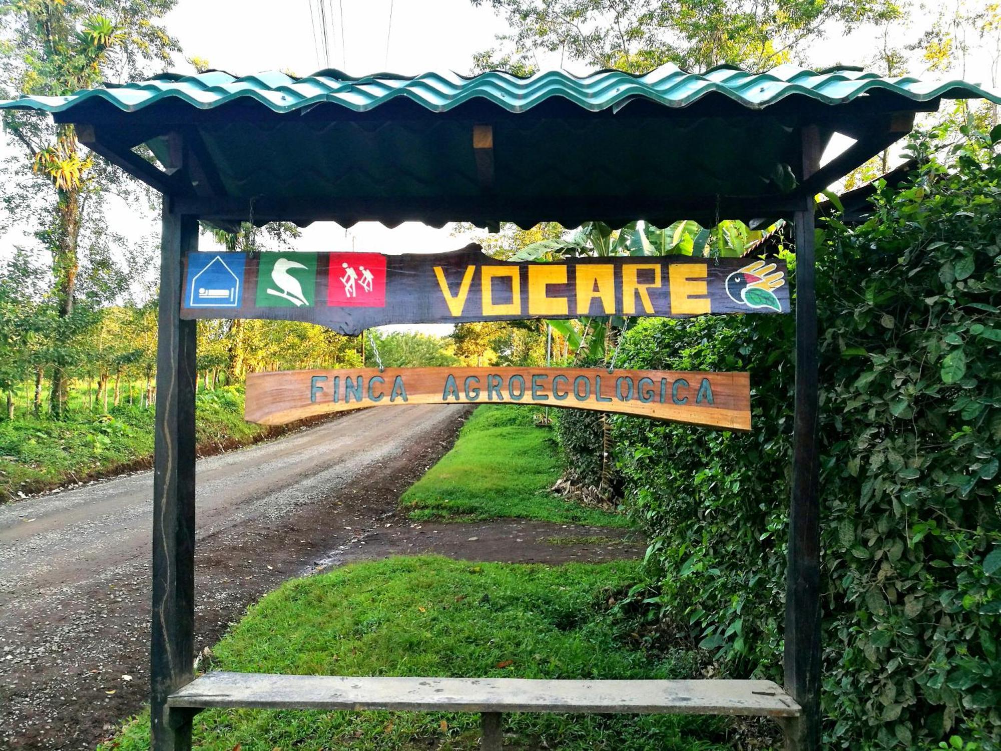 Vocare Finca Agroecologica Upala Zewnętrze zdjęcie